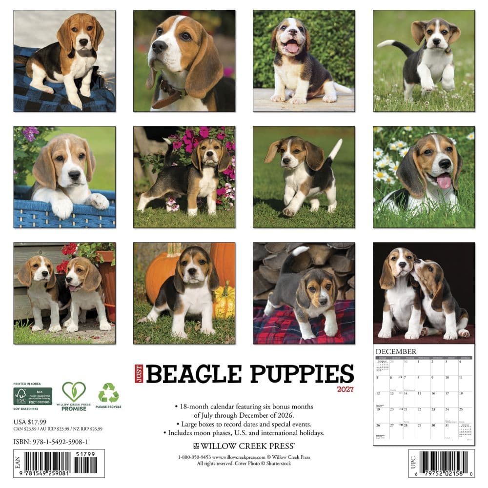 Just Beagle Puppies 2027 Wall Calendar First Alternate Image