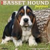 image Just Basset Hound Puppies 2027 Wall Calendar Main Product Image