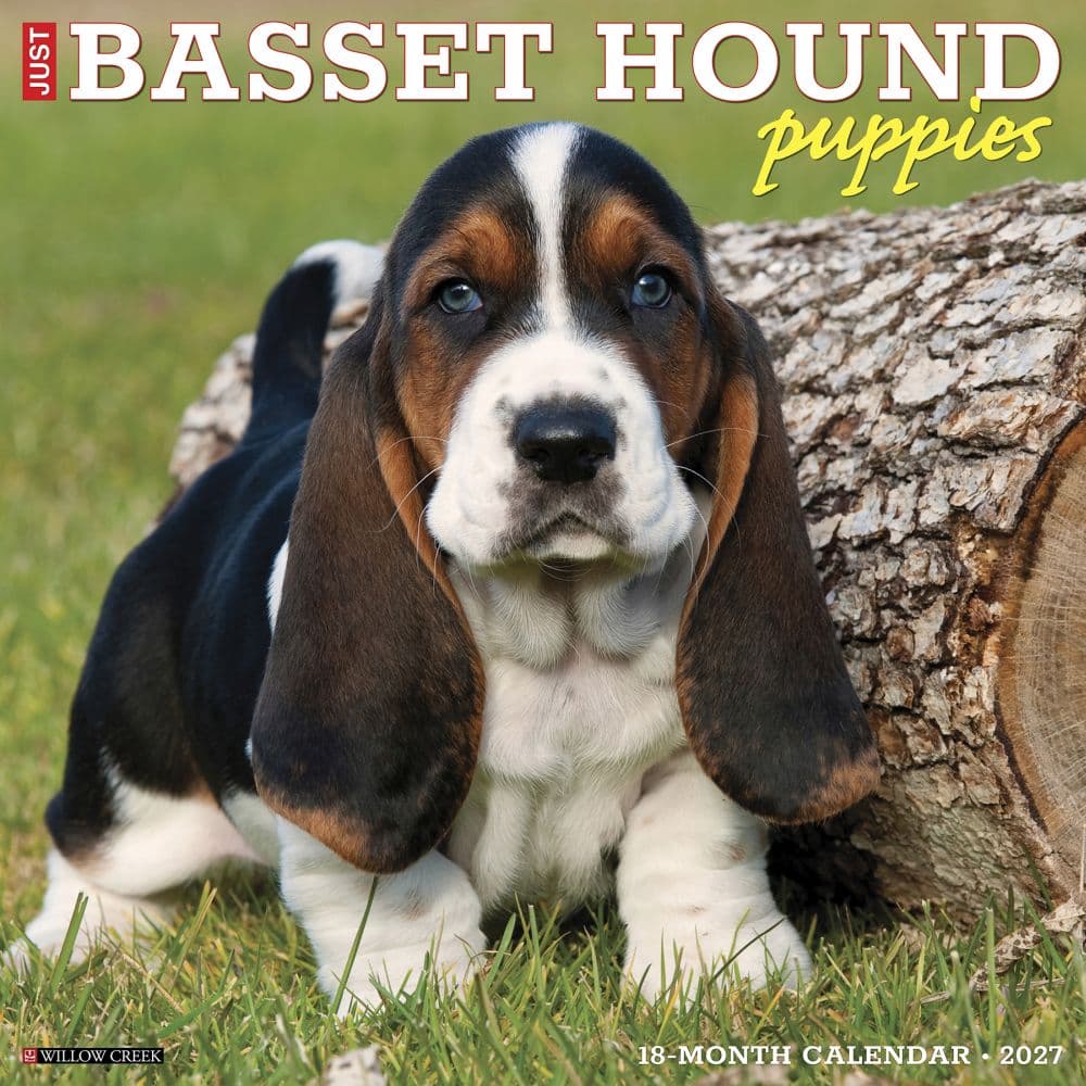 image Just Basset Hound Puppies 2027 Wall Calendar Main Product Image