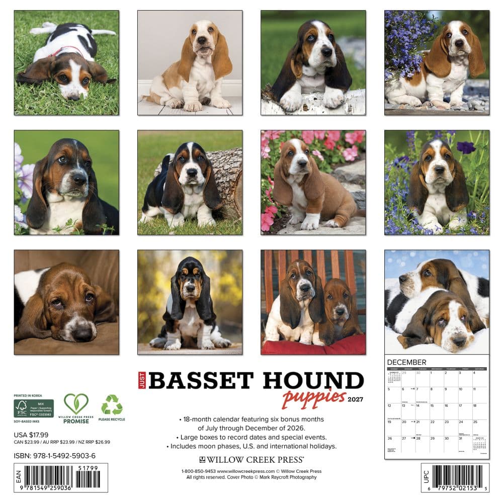 Just Basset Hound Puppies 2027 Wall Calendar First Alternate Image