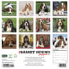 image Just Basset Hound Puppies 2027 Wall Calendar First Alternate Image