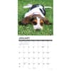 image Just Basset Hound Puppies 2027 Wall Calendar Second Alternate Image
