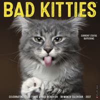 image Just Bad Kitties 2027 Wall Calendar Main Product Image