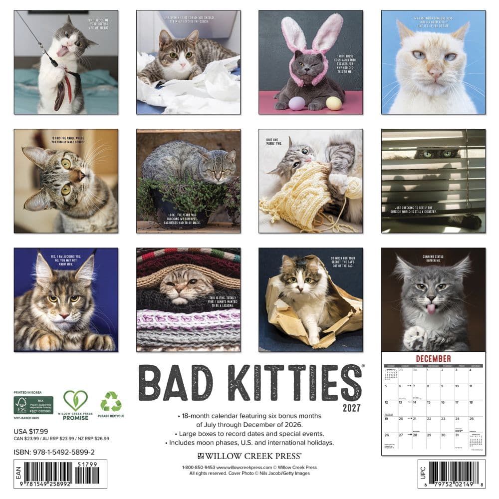 Just Bad Kitties 2027 Wall Calendar First Alternate Image