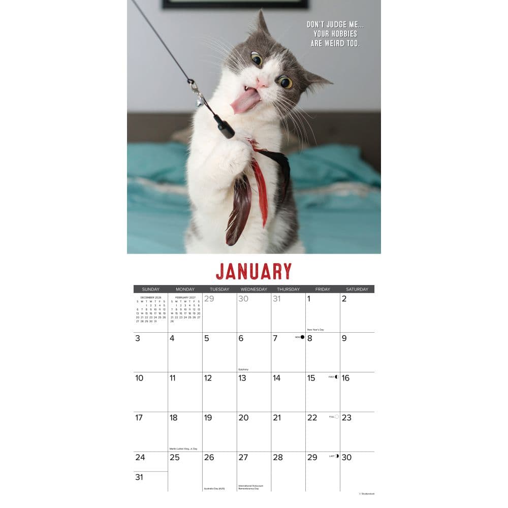 Just Bad Kitties 2027 Wall Calendar Second Alternate Image