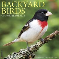 image Backyard Birds 2027 Wall Calendar Main Product Image