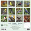 image Backyard Birds 2027 Wall Calendar First Alternate Image