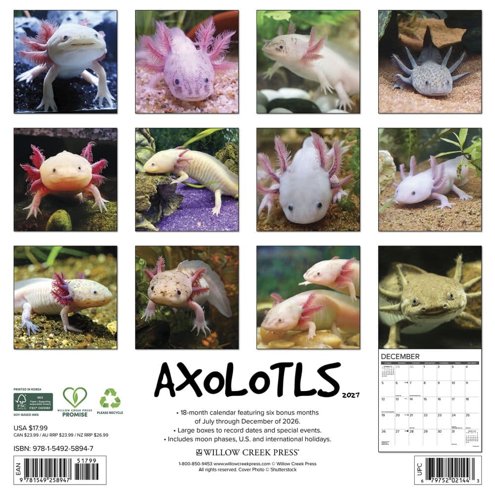 Axolotls 2027 Wall Calendar First Alternate Image