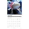 image Axolotls 2027 Wall Calendar Second Alternate Image