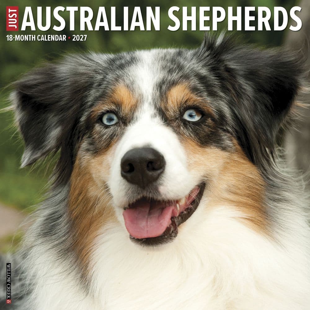 Australian Shepherds Just 2027 Wall Calendar Main Product Image