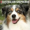 image Australian Shepherds Just 2027 Wall Calendar Main Product Image