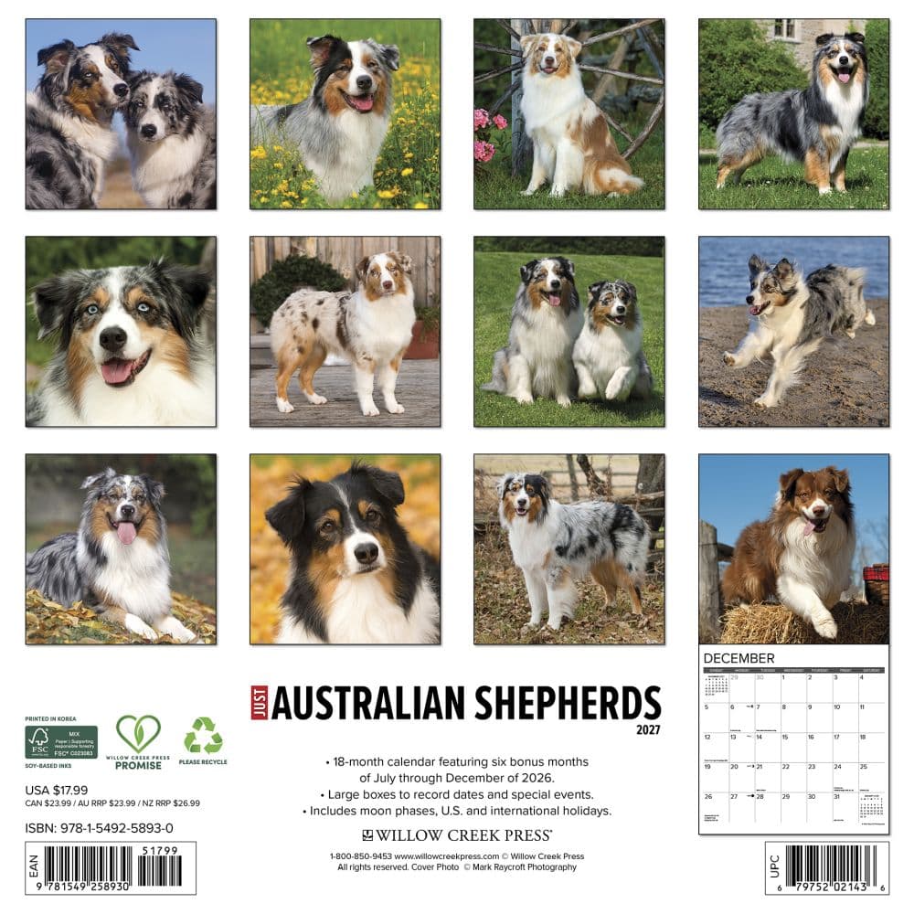 Australian Shepherds Just 2027 Wall Calendar First Alternate Image