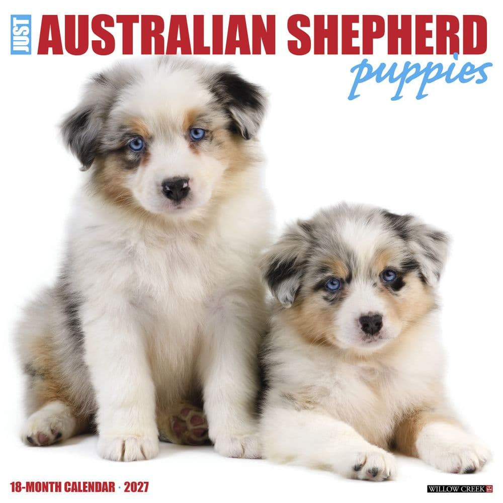 Australian Shepherd Puppies 2027 Wall Calendar Main Product Image
