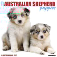 image Australian Shepherd Puppies 2027 Wall Calendar Main Product Image