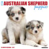 image Australian Shepherd Puppies 2027 Wall Calendar Main Product Image