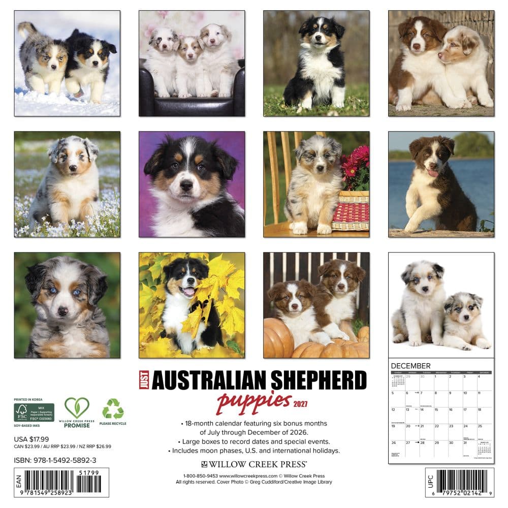 Australian Shepherd Puppies 2027 Wall Calendar First Alternate Image