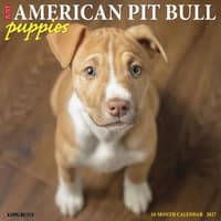 image Pit Bull Terrier Puppies Just 2027 Wall Calendar Main Product Image