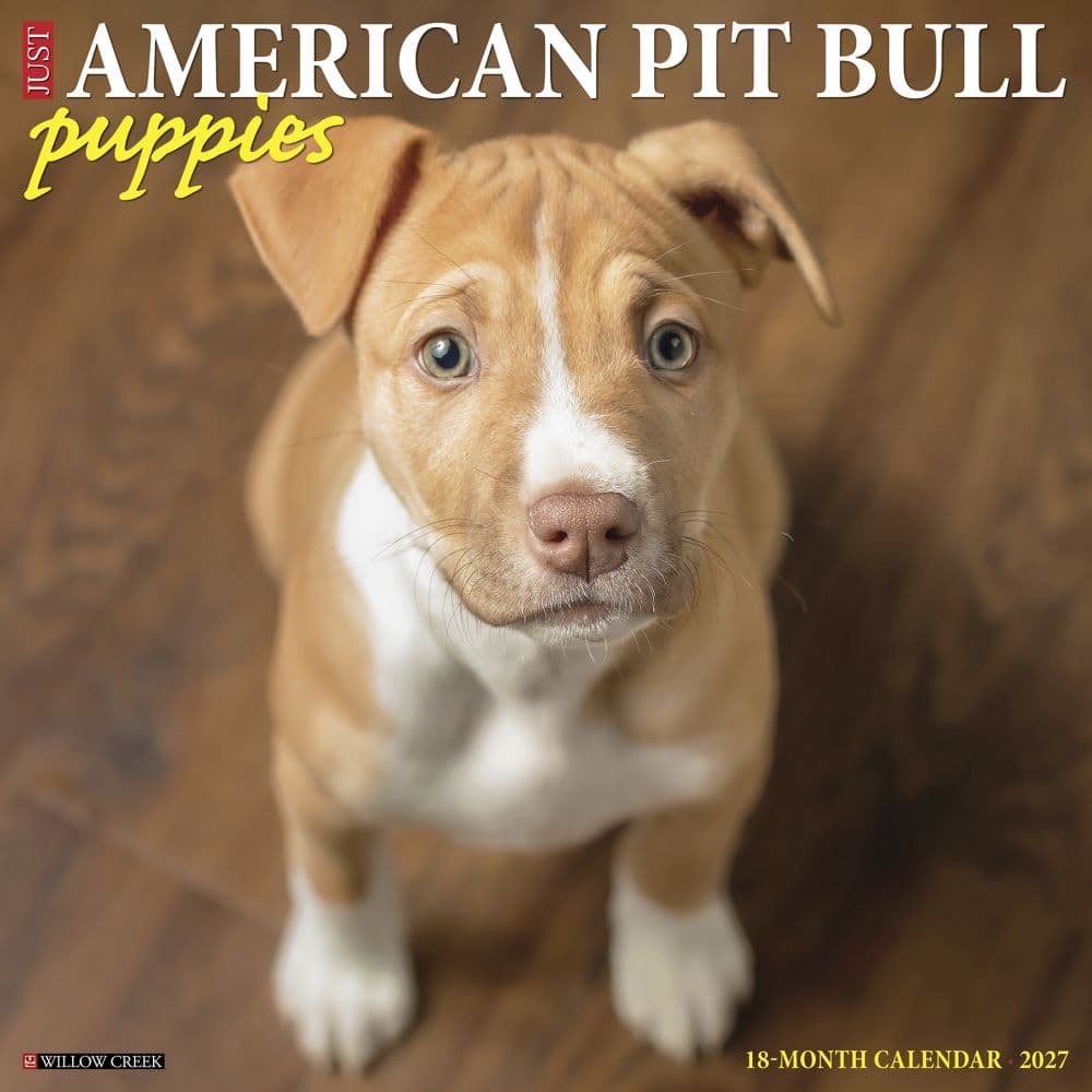 image Pit Bull Terrier Puppies Just 2027 Wall Calendar Main Product Image
