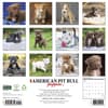 image Pit Bull Terrier Puppies Just 2027 Wall Calendar First Alternate Image