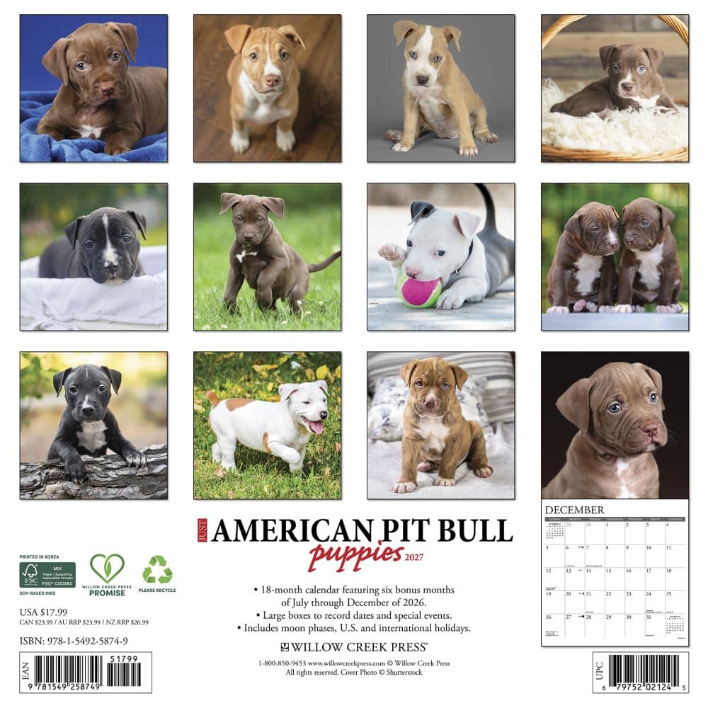 Pit Bull Terrier Puppies Just 2027 Wall Calendar First Alternate Image