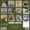 image Animal Antics 2027 Wall Calendar First Alternate Image