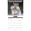 image Animal Antics 2027 Wall Calendar Second Alternate Image