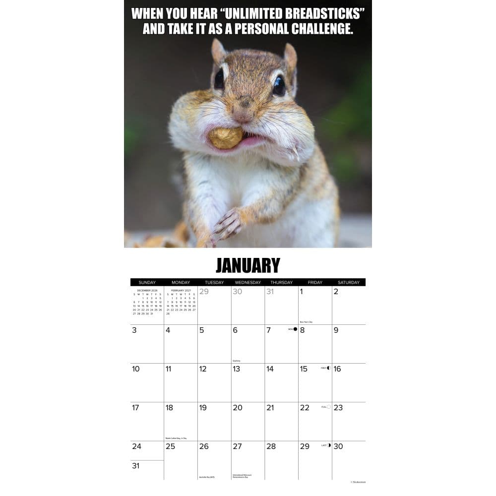 Animal Antics 2027 Wall Calendar Second Alternate Image