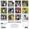 image Just Boston Terriers 2027 Wall Calendar First Alternate Image