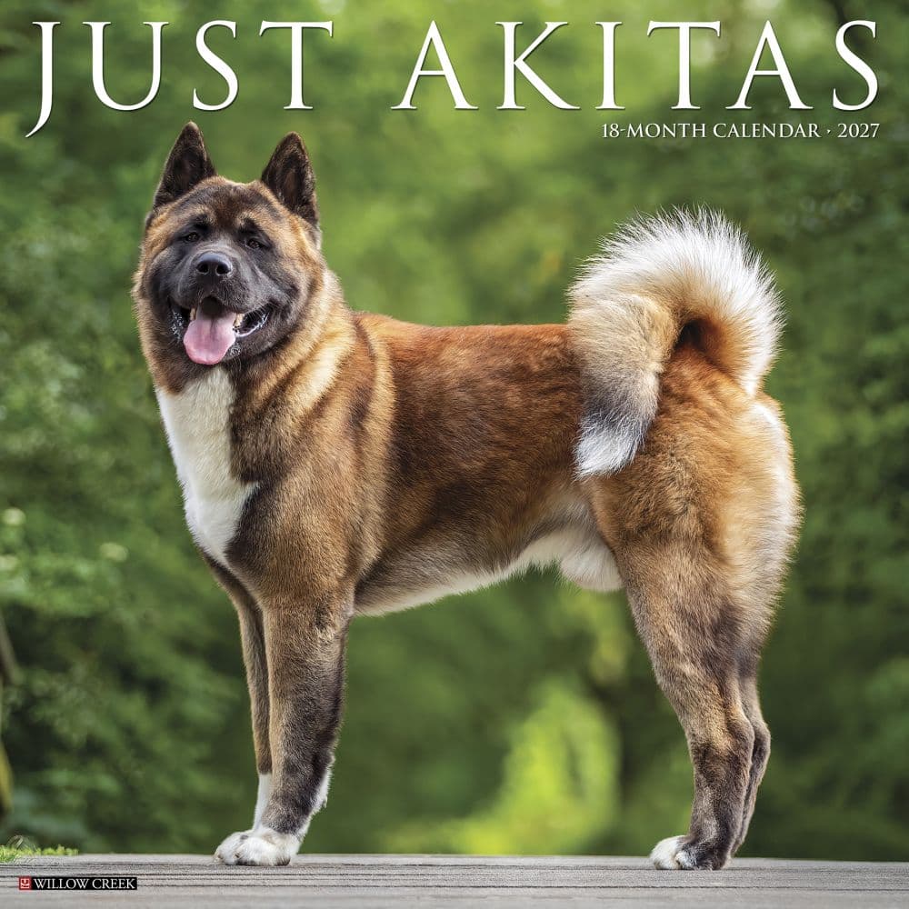 Just Akitas 2027 Wall Calendar Main Product Image