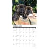 image Just Akitas 2027 Wall Calendar Second Alternate Image
