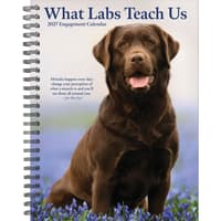 image What Labs Teach Us 2027 Engagement Planner Main Product Image