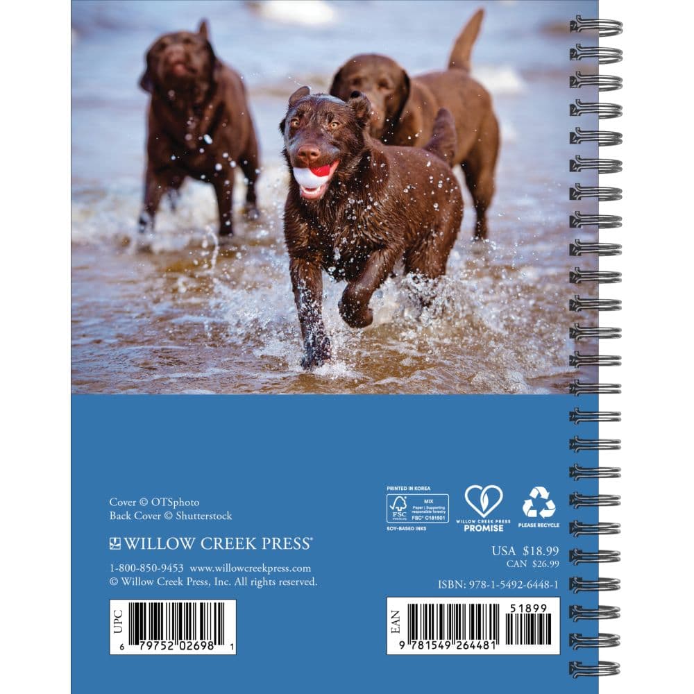 What Labs Teach Us 2027 Engagement Planner First Alternate Image