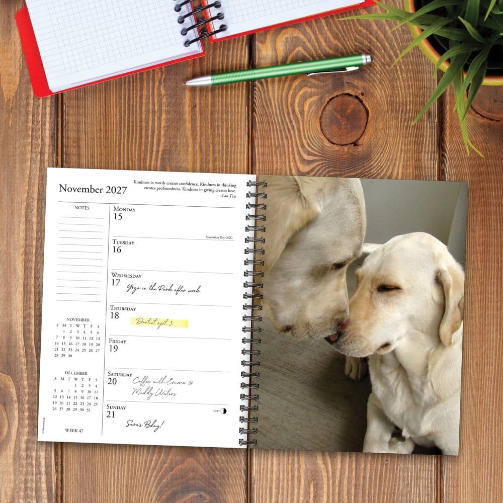 What Labs Teach Us 2027 Engagement Planner Second Alternate Image