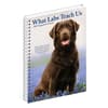 image What Labs Teach Us 2027 Engagement Planner Third Alternate Image