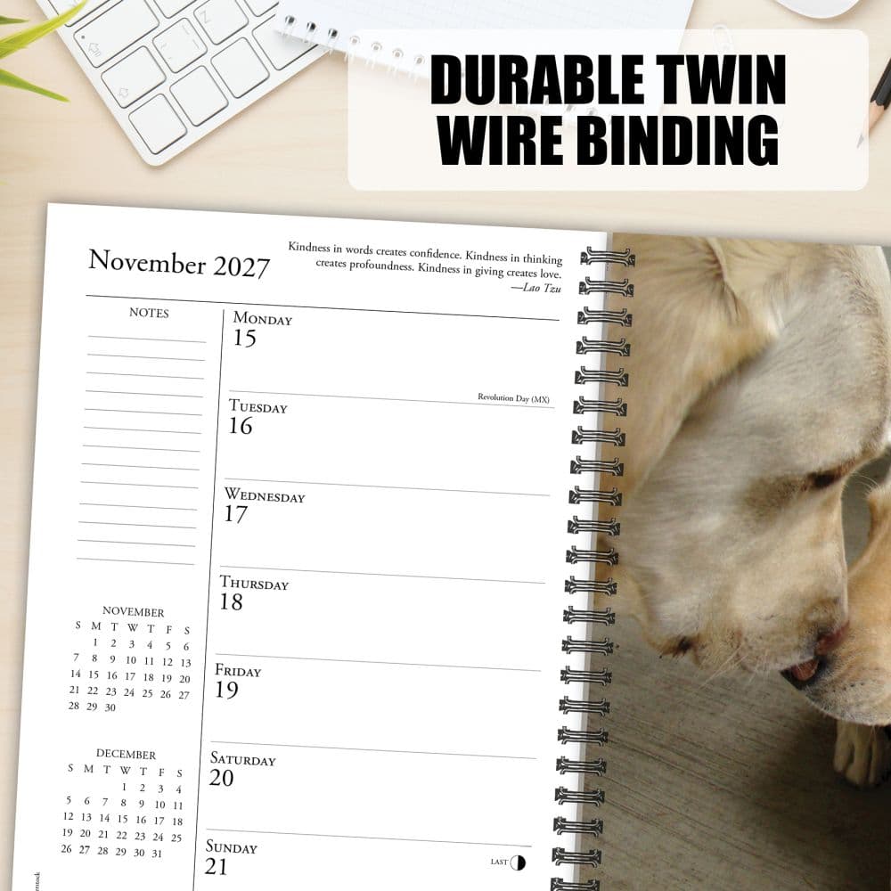 What Labs Teach Us 2027 Engagement Planner Fourth Alternate Image