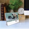image Animal Antics 2027 Desk Calendar Second Alternate Image