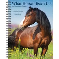 image What Horses Teach Us 2027 Engagement Planner Main Product Image