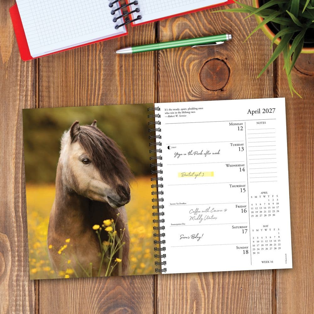 What Horses Teach Us 2027 Engagement Planner Second Alternate Image