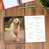 image What Goldens Teach Us 2027 Engagement Planner Second Alternate Image