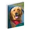 image What Goldens Teach Us 2027 Engagement Planner Third Alternate Image