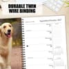 image What Goldens Teach Us 2027 Engagement Planner Fourth Alternate Image