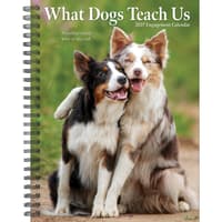 image What Dogs Teach Us 2027 Engagement Planner Main Product Image