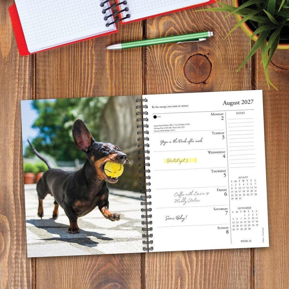 What Dogs Teach Us 2027 Engagement Planner Second Alternate Image