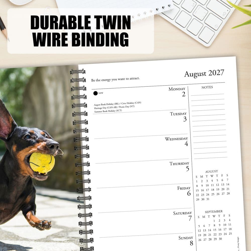 What Dogs Teach Us 2027 Engagement Planner Fourth Alternate Image