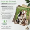 image What Dogs Teach Us 2027 Engagement Planner Fifth Alternate Image