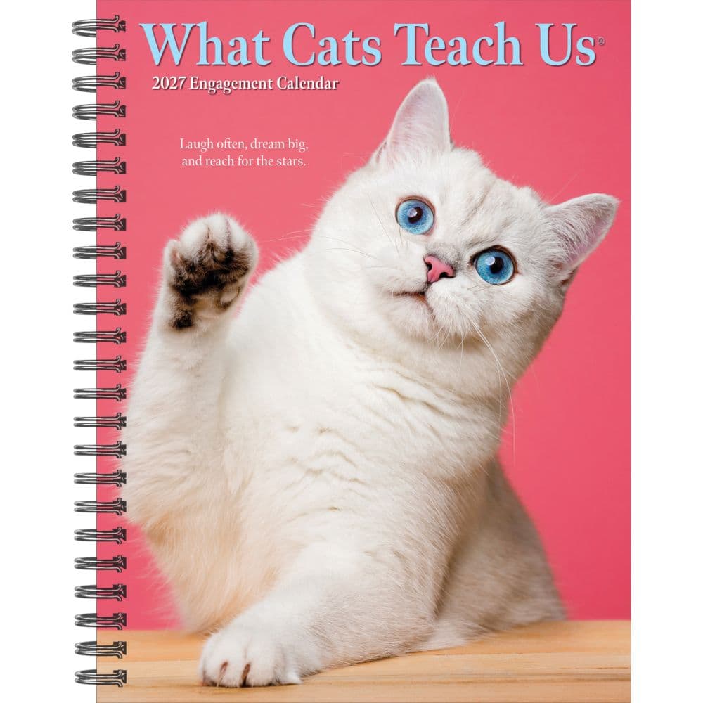 What Cats Teach Us 2027 Engagement Planner Main Product Image