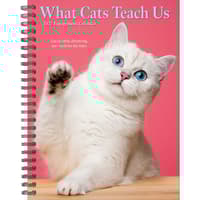 image What Cats Teach Us 2027 Engagement Planner Main Product Image