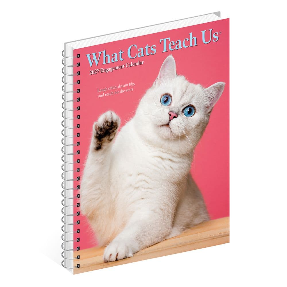 What Cats Teach Us 2027 Engagement Planner Third Alternate Image