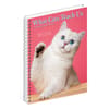 image What Cats Teach Us 2027 Engagement Planner Third Alternate Image