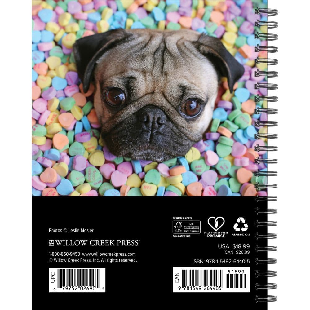 Doug the Pug 2027 Engagement Planner First Alternate Image